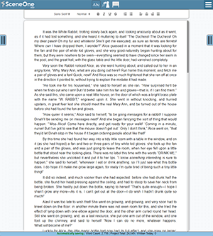 A book writing app's text editor for writing a novel